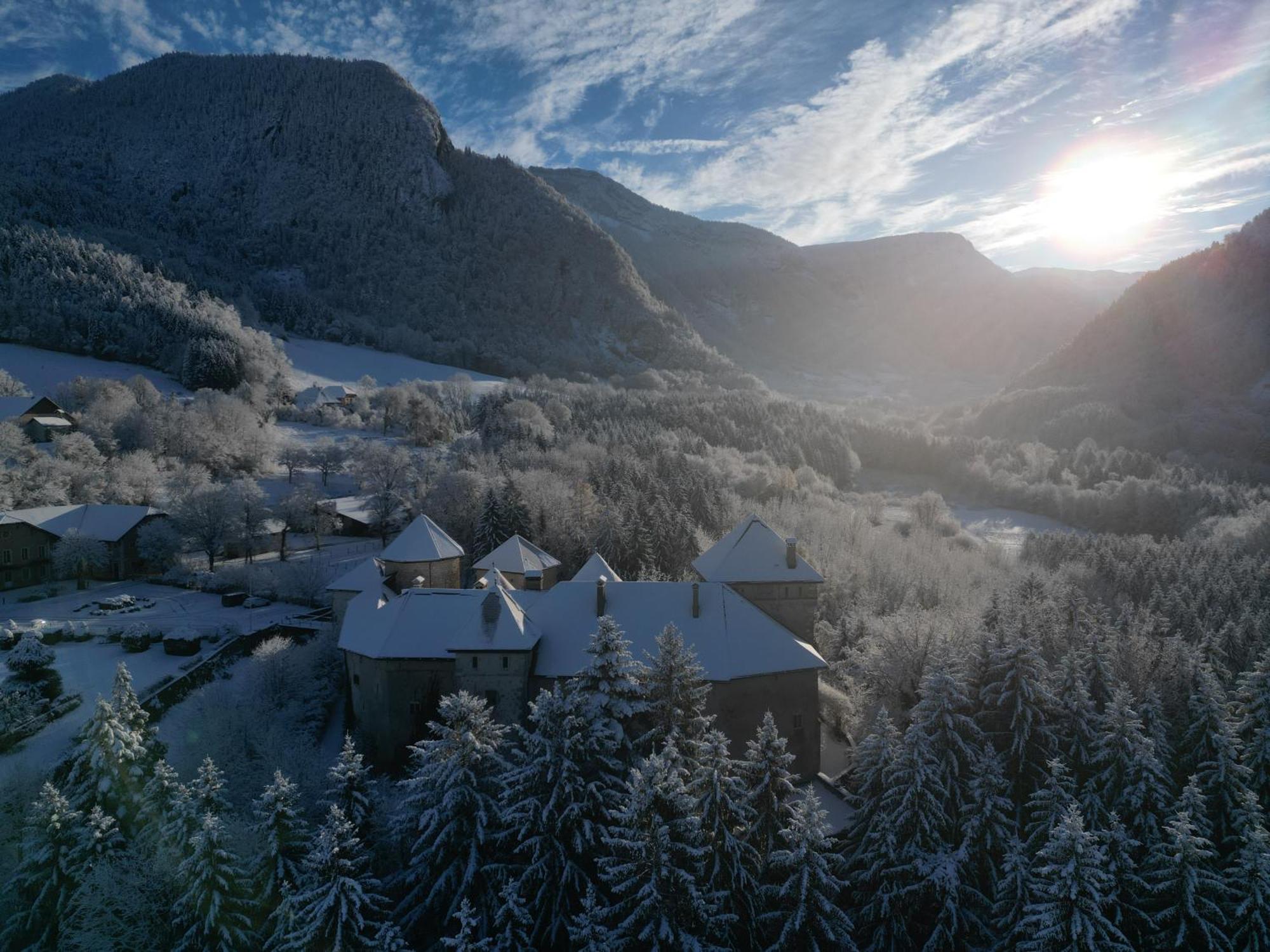 Chateau De Thorens Exterior photo
